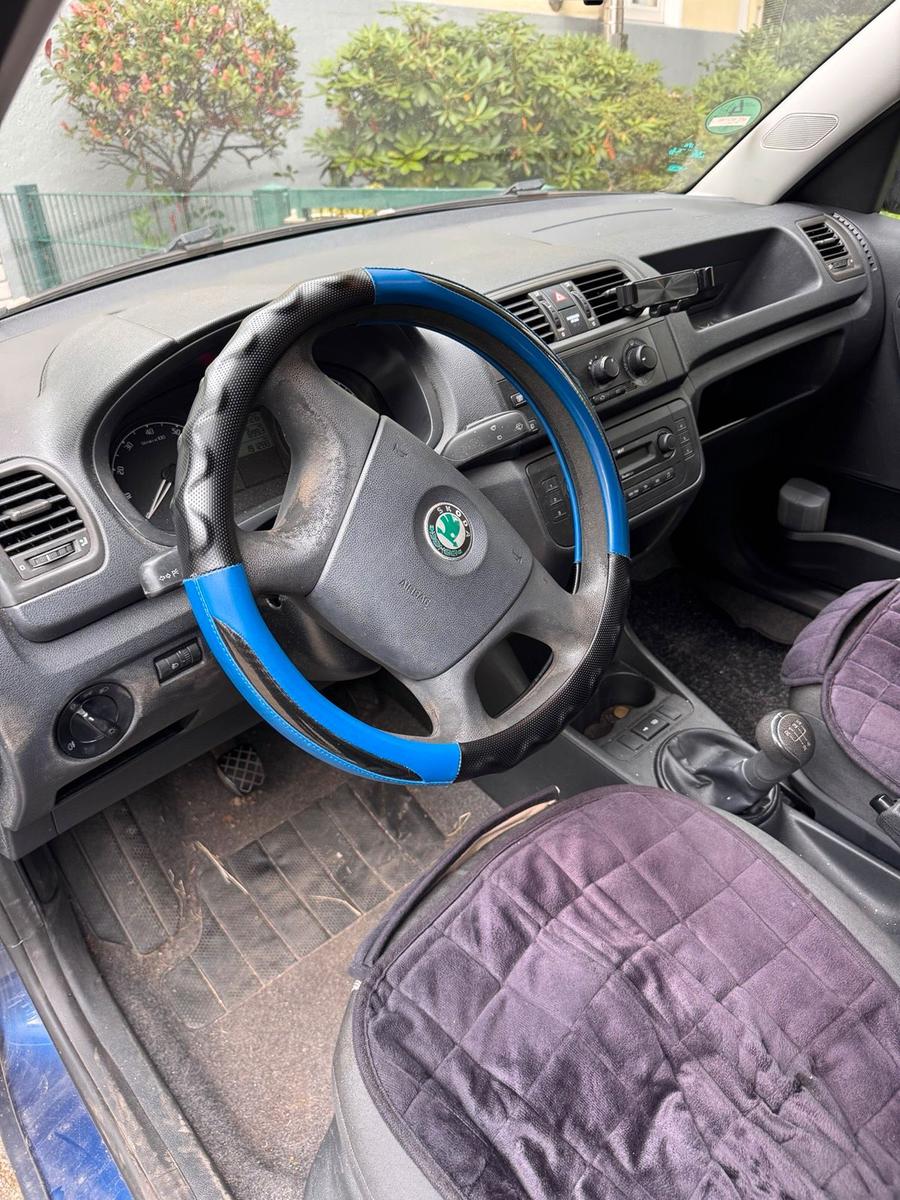 Skoda Roomster 2009 — photo 5