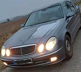 Mercedes-Benz E 240 4MATIC AVANTGARDE Avantgarde - Mercedes-Benz E 240 mit Benzin-Antrieb: Automatik
