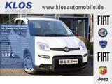 Fiat Panda 1.0 GSE HYBRID 70PS PDC RADIO KOMFORT ALLW - gebrauchte Fiat Panda aus dem Jahr 2024