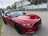 Ford Mustang Basis Convertible Tuv neu1.Jahr Garantie - Ford Mustang in Mannheim