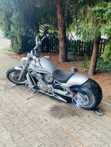 Harley-Davidson V ROD (USA) - HARLEY-DAVIDSON US