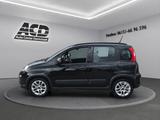 Fiat Panda 1.0 City Life |KLIMA|PDC|GARANTIE|ALLWETTE - Fiat Panda: Pickup
