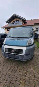 Fiat Ducato - Fiat Ducato aus 2010: Van