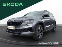 Skoda Karoq - Vorschau Bild 1