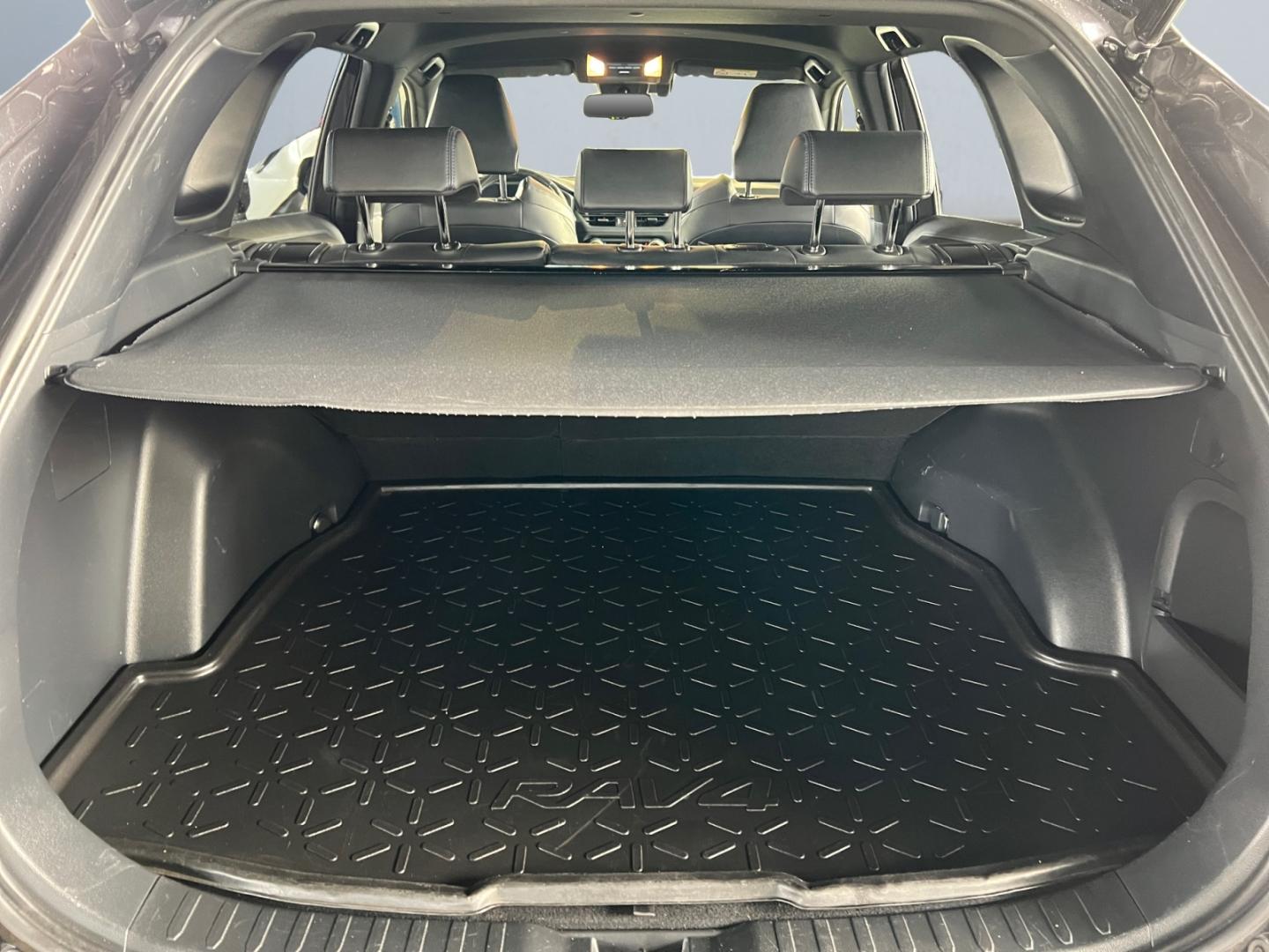 Toyota RAV 4 2.5 Hybrid Style Selection *LED*CAM*SHZ*PD