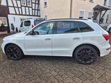 Audi SQ5 3.0 TDI plus tiptronic quattro - - Audi SQ5: Plus