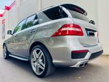Mercedes-Benz Lückenlos Scheckheft MB-360 Kamera-Panorama  - Mercedes-Benz ML 63 AMG Gebrauchtwagen