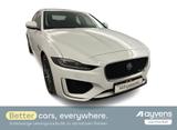 Jaguar XE R-Dynamic SE P250 Aut. - gebrauchte Jaguar Limousine