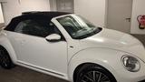 Volkswagen Beetle 1.4 TSI DSG BMT Exclusive R-Line Cabr... - gebrauchte VW Beetle aus dem Jahr 2017