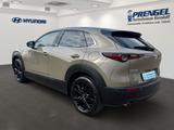 Mazda CX-30 2.5 Homura NAVI LED HEAD UP DAB - Mazda CX-3 Homura mit Benzin-Antrieb