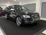 Audi SQ5 3.0 TDI competition quattro 3.0 *PANO*B&O* - Audi SQ5 in Essen