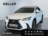 Lexus NX 450h+ E-FOUR Executive Line *AHK*360*Navi*LED - Lexus NX-Serie Jahreswagen