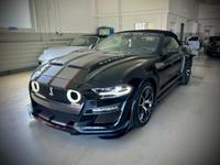 Ford Mustang 2.3 Ecoboost/ Shelby/Virtual