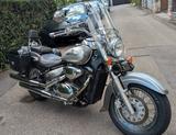 Suzuki VL 800 Intruder Volusia Chopper  - Suzuki Intruder C800C