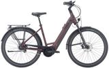Pegasus Strong EVO 5R M (28 Zoll) - Pegasus E-Bikes
