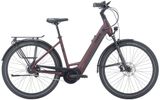 Pegasus Strong EVO 5R S (28 Zoll) - Pegasus E-Bikes