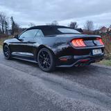 Ford Mustang 5.0 Ti-VCT V8 GT Auto GT  - Ford Mustang Gebrauchtwagen in Bielefeld