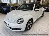 Volkswagen Beetle Cabriolet 1.4 "Allstar Plus" 6-Gang KAM - mit Benzin-Antrieb: 1.6