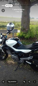 Suzuki Gladius - MOTORRAD VON 501 BIS 750 CCM