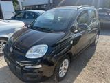 Fiat Panda Lounge 1.2 L - Fiat Panda Gebrauchtwagen in Stuttgart