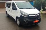 Opel 1,6 CDTi, 9-Sitzer, AHK, Tempomat, H1L1