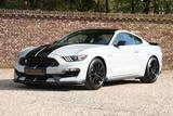 Ford Mustang Shelby GT350 "Avalanche" Previously owne - Ford Mustang: Shelby Gt350