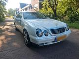 Mercedes-Benz CLK 430 Sport V8 (1999) - Mercedes-Benz CLK 430 Gebrauchtwagen