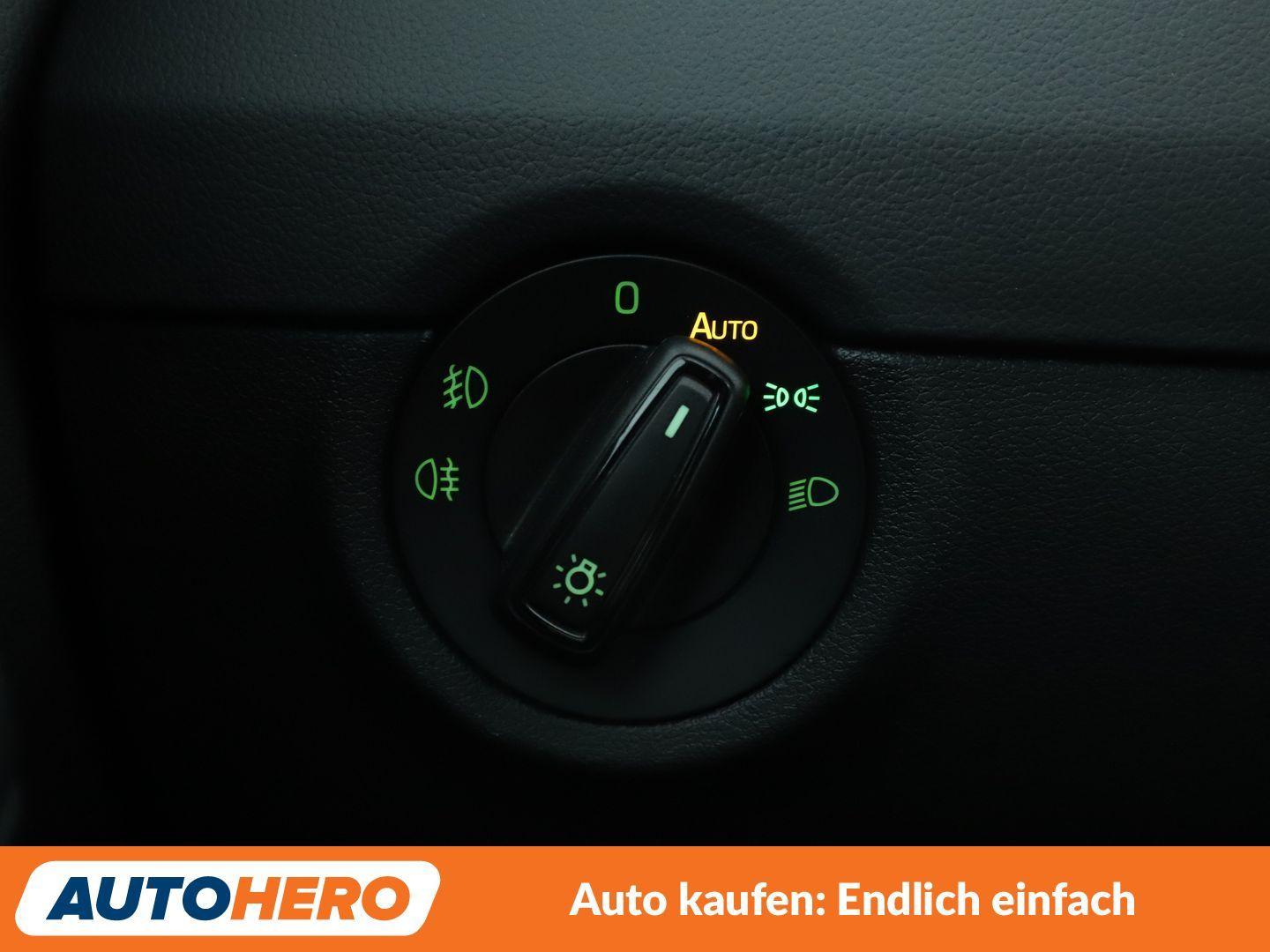 Skoda Octavia 2.0 TDI RS Aut.*NAVI*PDC*TEMPO*