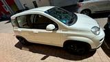 Fiat Panda 1.0 GSE Mild  Hybrid Benzin CITY SPORT - Fiat Panda Sport mit Benzin-Antrieb
