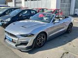 Ford Mustang Shelby Convertible Leder LED CarPlay  - Ford Mustang in Bonn