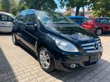 Mercedes-Benz B 170,NGT,CNG,Panod,Klima,Sitzhzg,Ahk - Mercedes-Benz: Ngt