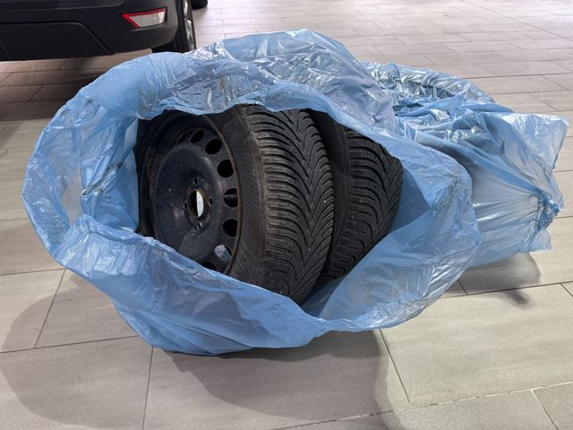 Ford EcoSport Trend Tempomat  Winter-Paket