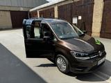 Volkswagen Caddy Maxi LED, HECKFLÜGELTÜR,LKW ZULASSUNG - Volkswagen: Lkw