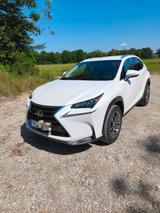 Lexus NX 300 300h - - Lexus: Nx