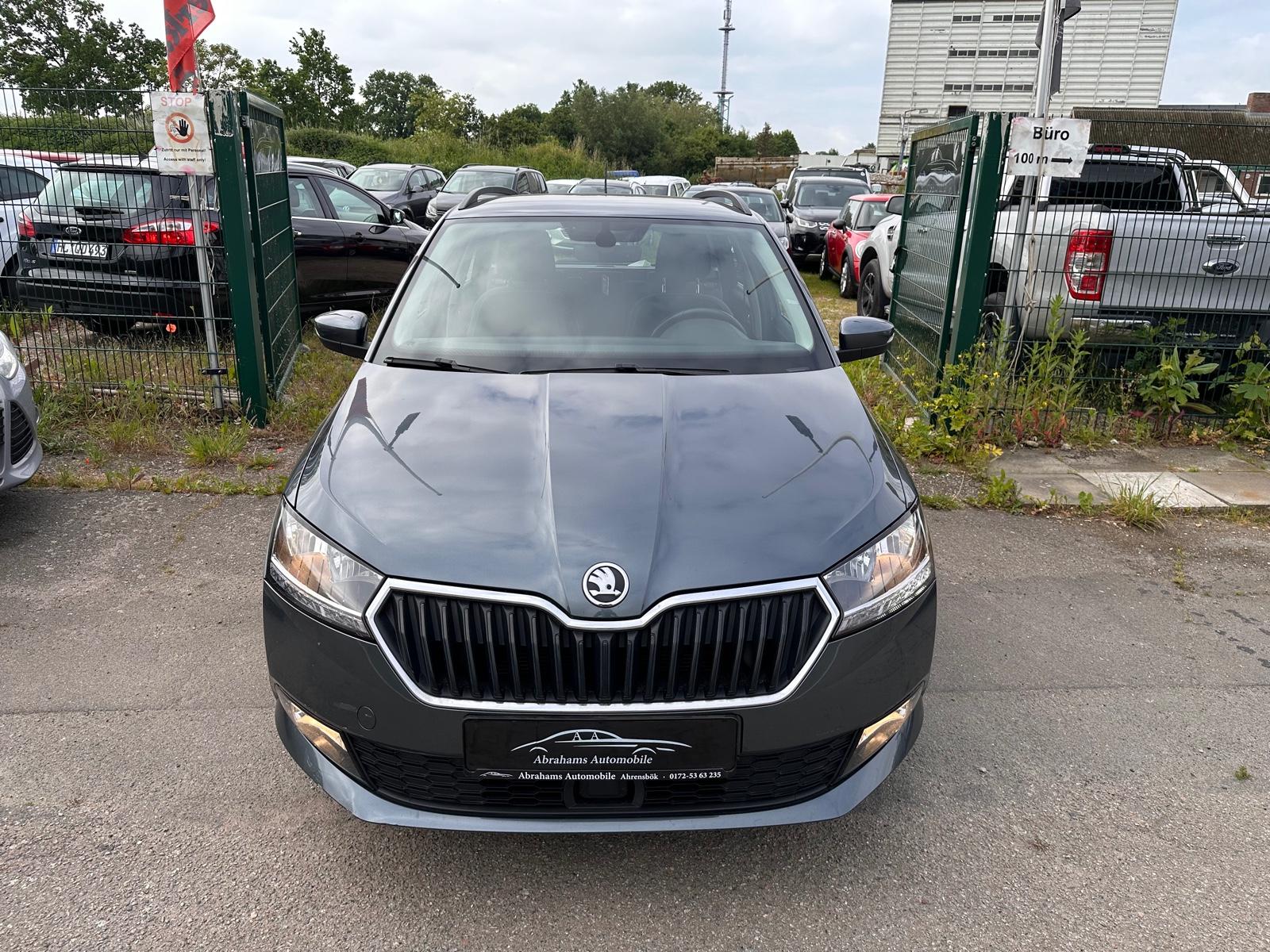 Skoda Fabia Combi Style TÜV & Service NEU