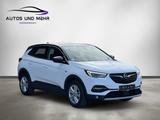 Opel Grandland 120 Jahre* Bi-LED-Scheinwerfer*DAB*RFK - Opel Grandland (X) 120-Jahre