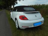 Volkswagen Beetle 2.0 TDI BMT Design Cabriolet Design - VW Beetle von privat