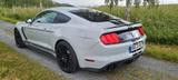 Ford Mustang GT 350 Shelby - Ford Mustang: Gt350