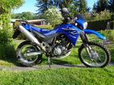 Yamaha XT 660 R - Angebote