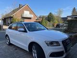 Audi SQ5 3.0 TDI competition tiptronic quattro - - gebrauchte Audi SQ5 aus dem Jahr 2017