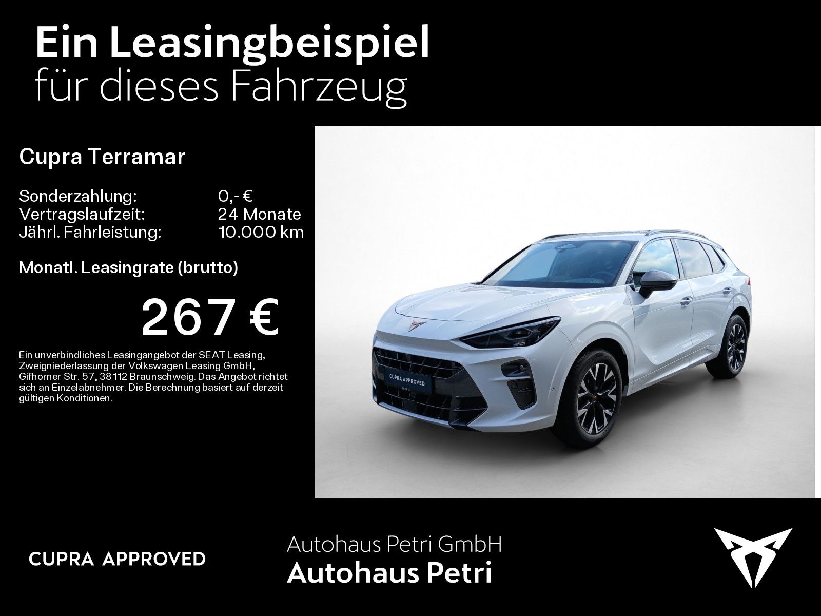 Cupra Terramar - Bild 2
