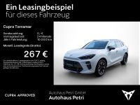 Cupra Terramar - Vorschau Bild 2
