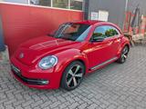 Volkswagen Beetle Lim. Sport Leder Bi-Xenon Keyless Navi - Volkswagen Beetle: Leder, Navigationssystem
