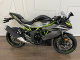 Kawasaki Ninja 125 MY2026 Starterbonus 4 Jahre Garantie! - KAWASAKI J 125