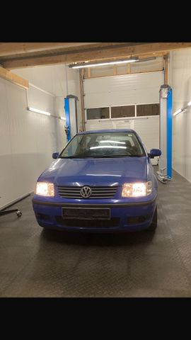 Volkswagen Polo 1.4 44kW Basis