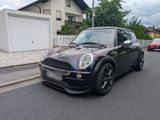 MINI COOPER R50 *Pano*Umbau* - MINI MINI: R50
