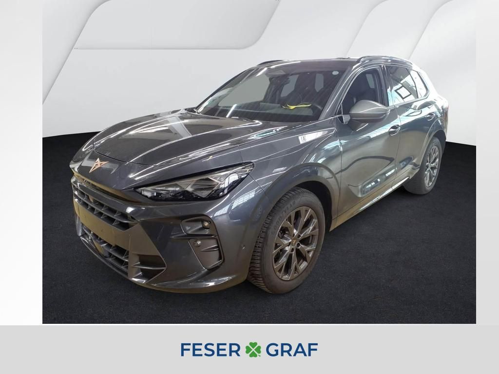 Image of Cupra Terramar
