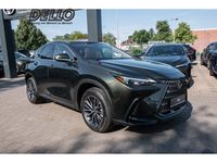 Lexus NX 450h - Vorschau Bild 3