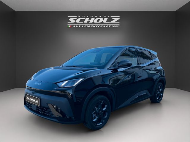BYD DOLPHIN SURF
