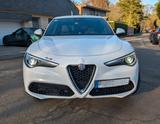 Alfa Romeo Stelvio 2.0 Turbo 280 PS | Q4 Veloce | AHK | SH  - Alfa Romeo aus 2018